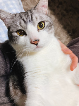 慣れたら超絶甘えん坊のそらちゃん