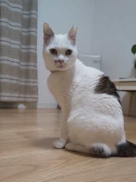 ゆったりとした時間を一緒に^_^