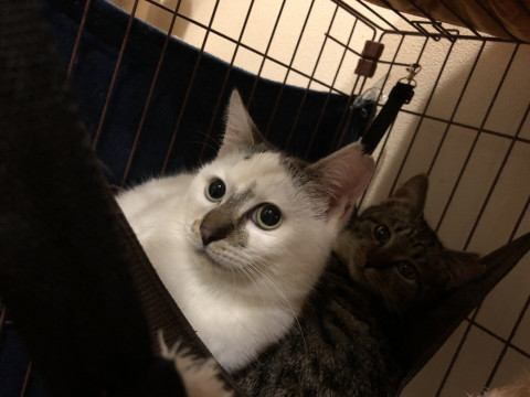 白ぶち 5ヶ月