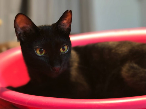 こぶまき☆4歳弱くらい