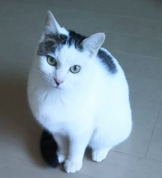 少しだけ人見知りするアンジュちゃん