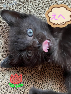 遊んで❤️
