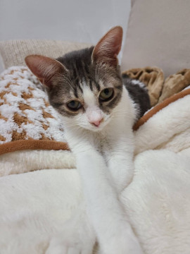 ミラクル☆4歳くらい