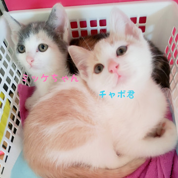 時間を忘れさせられる♡キュート兄妹