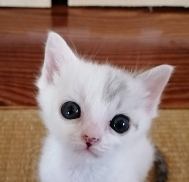 うるうるオメメの男の子