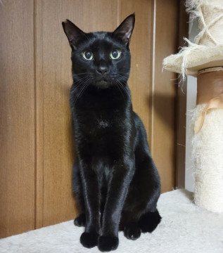 狩人の如き目が魅力☆ひがし