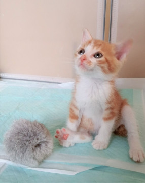 人もご飯も大好き!愛さずにはいられない…