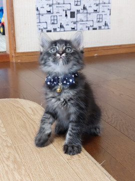 格好いい✨甘えん坊です