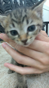 二匹で迎えてくださいました