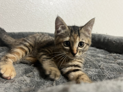かわいさ満点*かなちゃん*