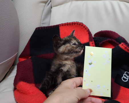 天真爛漫♪ぽこちゃん♡