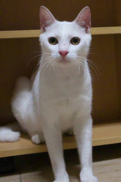なれ慣れの甘えん坊
