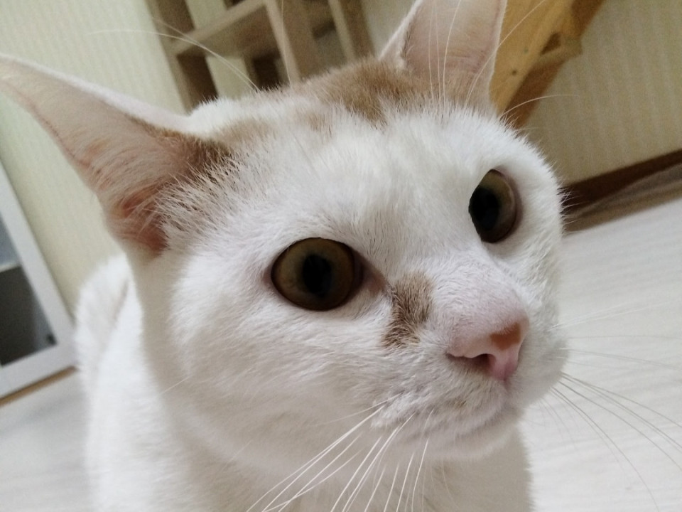 遊び盛りの男の子