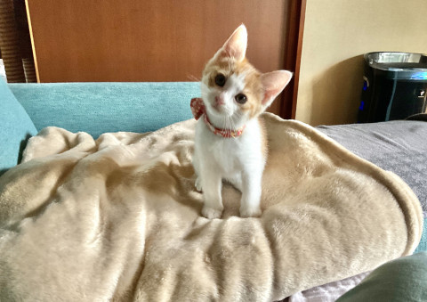 1人で泣いていました