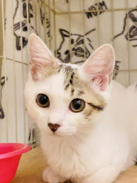 甘々優しい子❤︎ふじおちゃん♂