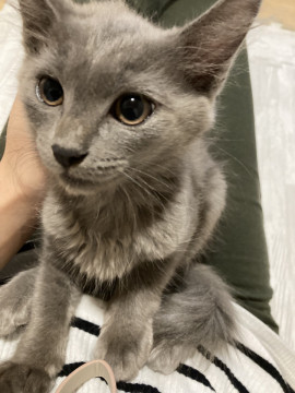 ビスタ女王様のずっとのお家探してます♡