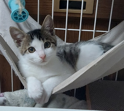 おっとりマイペース?