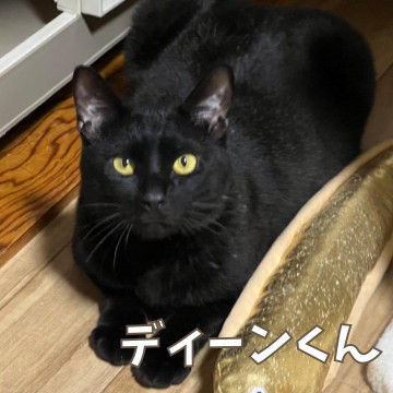 社交性バツグンでモテモテ☆ディーン