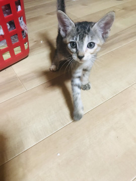 個性的な 優しい感じの 女の子