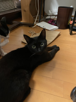 クールビューティーなママです♪