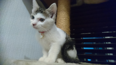 ありがとうございました。