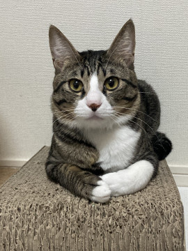 遊ぶの大好き！イケメンれおん