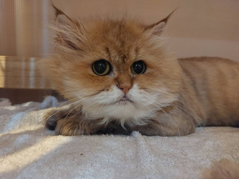 エトヴォス☆5歳くらい