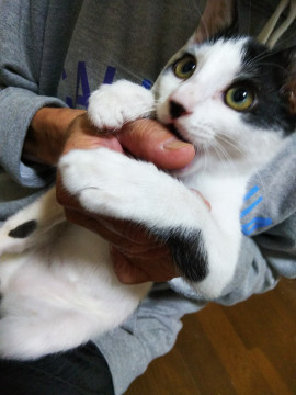 元気なイケメン君