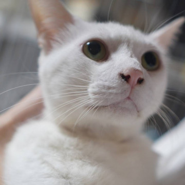 ゆたか☆4歳以上