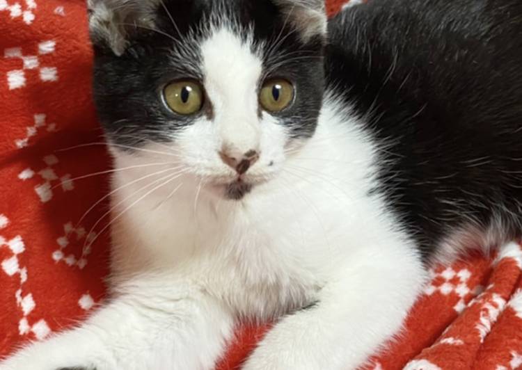 Jyqutpx4eb2n M Jyqutpx4eb2n M