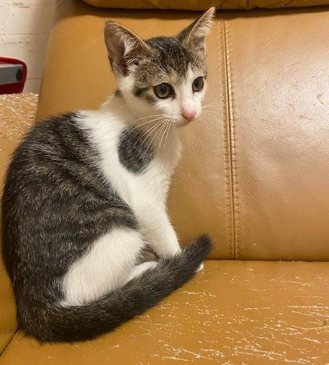 Jyqutpx4eb2n M Jyqutpx4eb2n M