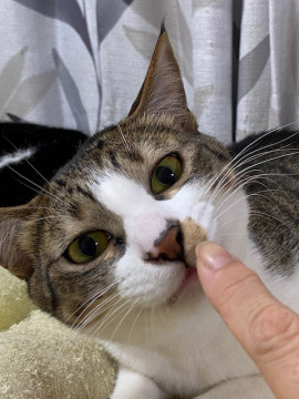 ビビりのイケメン♪のり