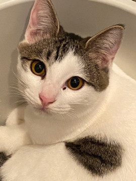 元気いっぱいのあまえんぼう♪とうま