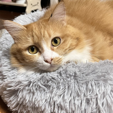 ならわ☆５歳くらい