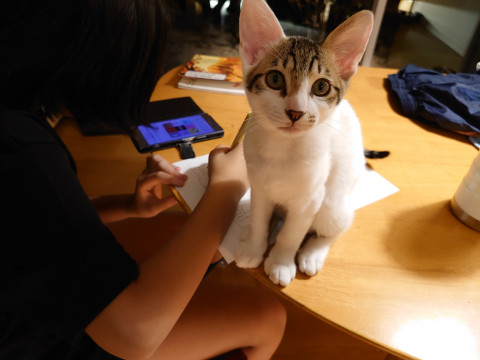 可愛いやんちゃな男の子