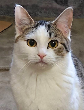 ちょっぴり人見知りの、みそらちゃん