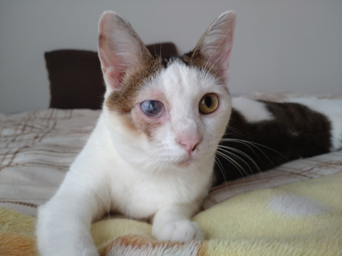 元気いっぱいヤンチャガール♪　すめし♀