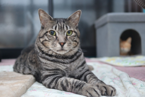 癒しと和み成分を注入するなら・大吉くん