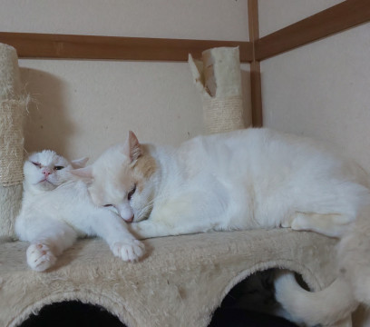 デカイのに寂しがり(^_^;)