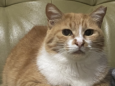 パタコ☆6〜8歳くらい