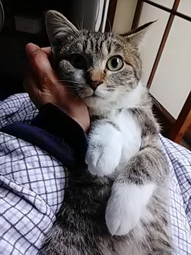 トライアル成功・有り難うございます