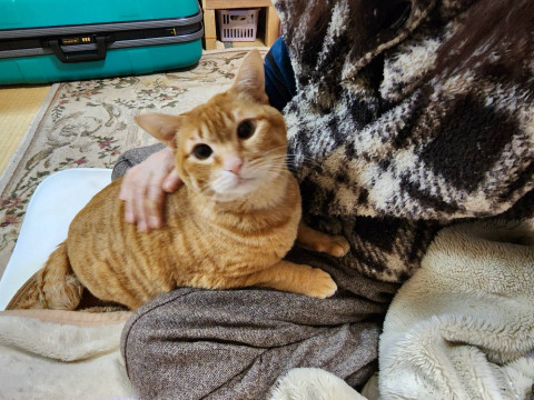 飼い主のお婆さんと別れて…