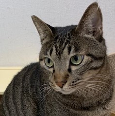 ハンディプリンス♪五朗くん