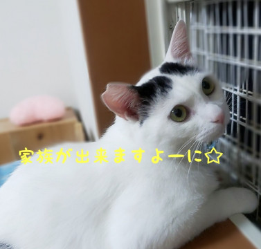 穏やか.健気にお友達を待つ男の子