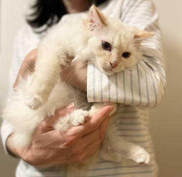 ふわふわ❤️ちょっぴりシャイな男の子