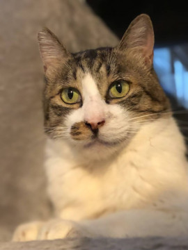 スプレー大臣☆5歳以上