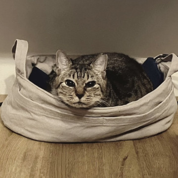 多頭飼育崩壊レスキュー!甘えん坊りす