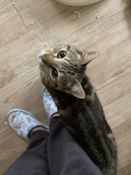 白血病だけど本当に綺麗で可愛スリゴロ男子