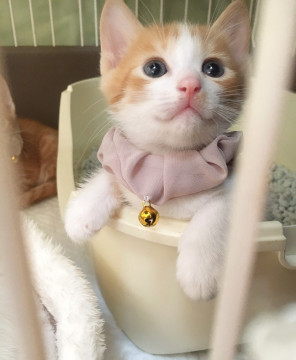 元気いっぱいの仲よし兄弟③