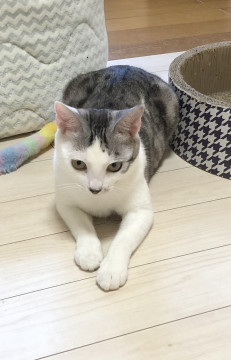 お世話好きのホタルちゃん